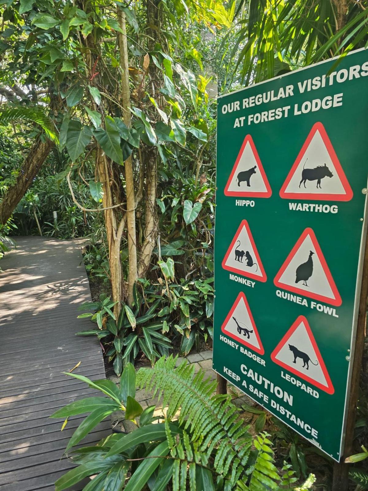 Forest Villa'S Saint Lucia Estuary Dış mekan fotoğraf